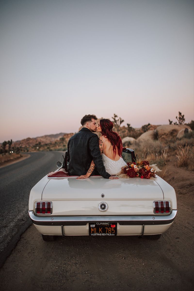 joshua tree